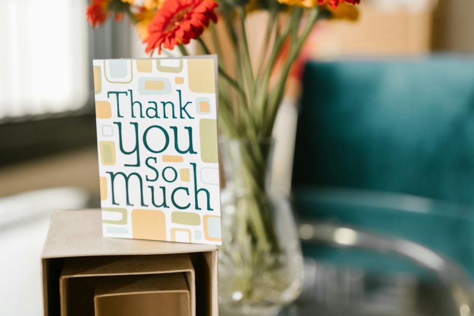 qué tipo de caja usar